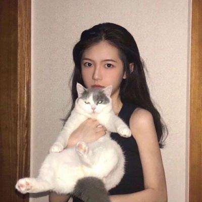 百度仙上仙手游下载